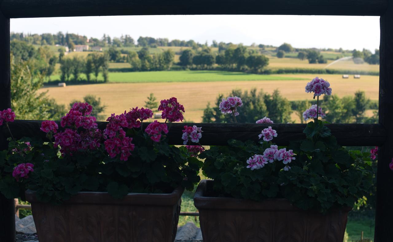 Bed and Breakfast La Piana Monzambano Zewnętrze zdjęcie